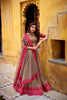 Designer Lehenga Choli with Contrast Border Dupatta.