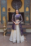Festive Wear Heavy Embroidered Lehenga Choli.