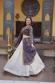 Festive Wear Heavy Embroidered Lehenga Choli.