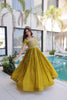 Traditional Embroidered Flared Gown Dress.