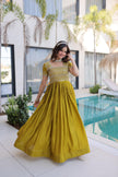 Traditional Embroidered Flared Gown Dress.