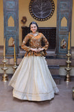 Women’s Festive Embroidered Top & Flared Lehenga Set.