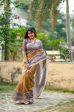 Stylish Saree with Traditional Woven Pallu Design.