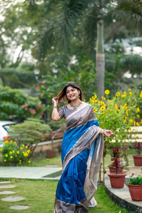 Stylish Saree with Traditional Woven Pallu Design.