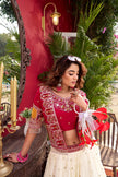 Elegant Heavy Embroidered Designer Lehenga Choli.