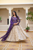 Elegant Embroidered Lehenga Choli Collection for Festive Glam.