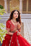 Royal Designer Lehenga Choli Collection with Heavy Embroidery.