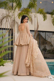 Women's Embroidered Peplum Sharara Suit Set with Dupatta.