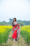 Stylish Saree with Traditional Woven Pallu Design.